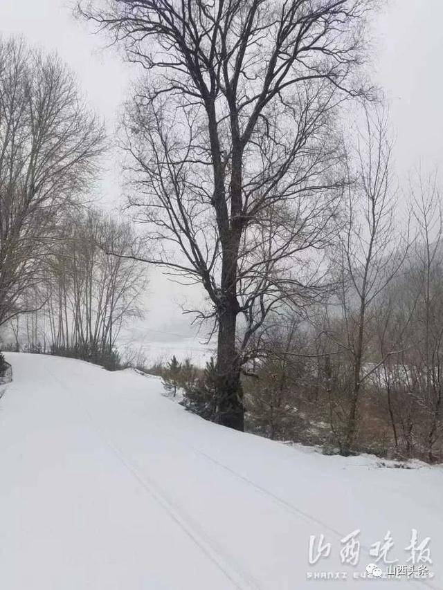 小雪 中雪 大雪!