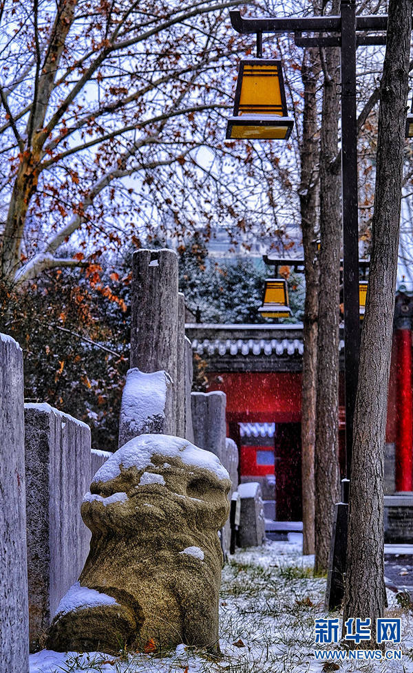 王羿|红墙青瓦遇白雪 文庙银装似画卷