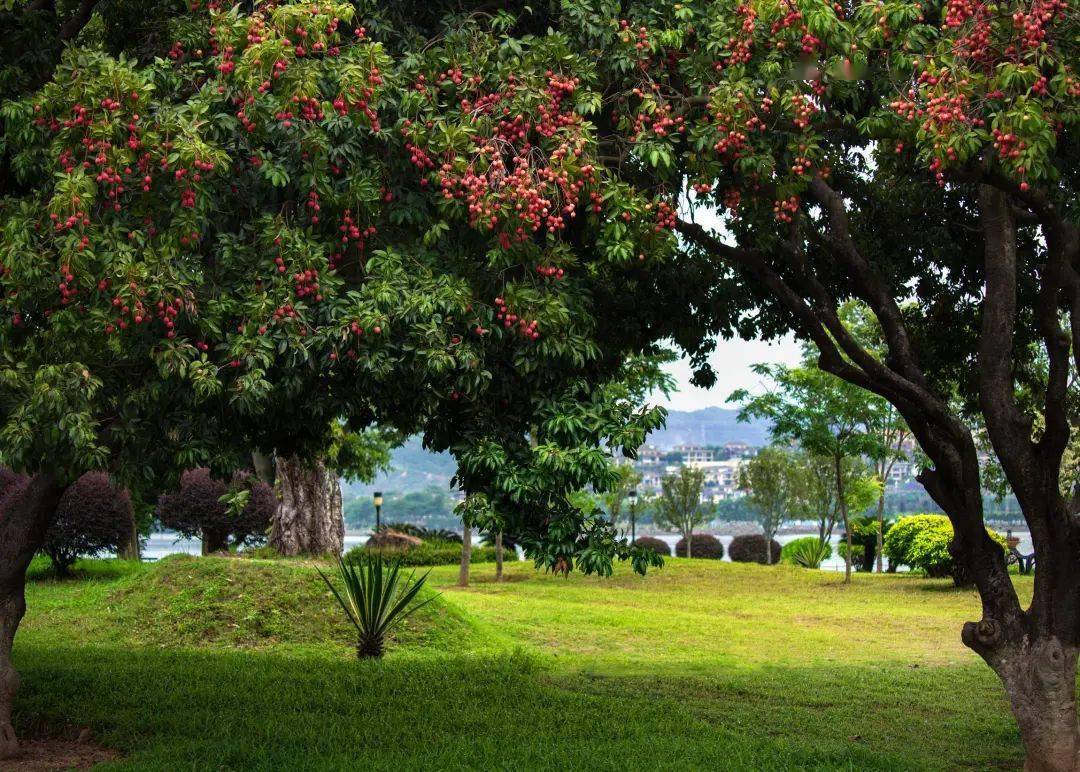 方耀森 家園陳成基 文化公園曾妙芬 恬靜的鄉村曾慶忠 鳳山荷花開