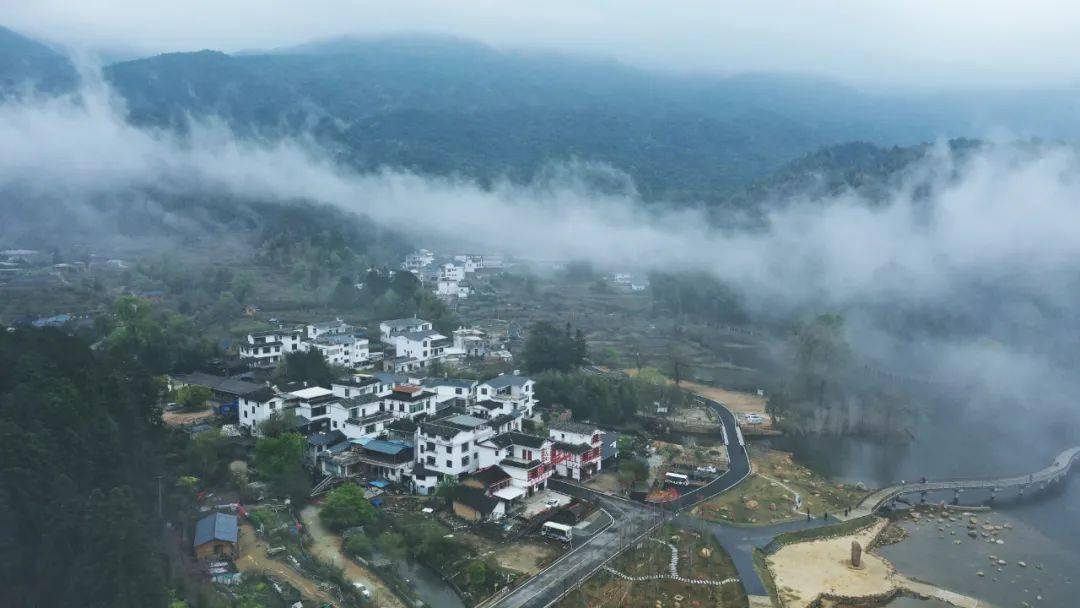 武平云寨村"林改"赋能 穷山村成香饽饽_乡村_生态_建设