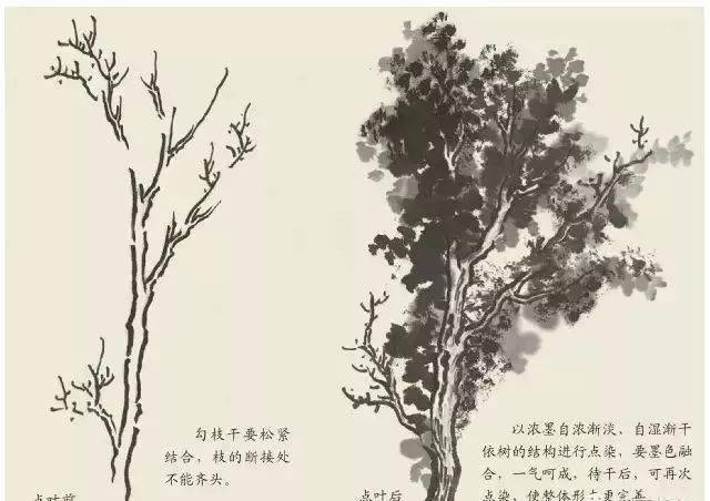 【国画教程】树叶的画法大全