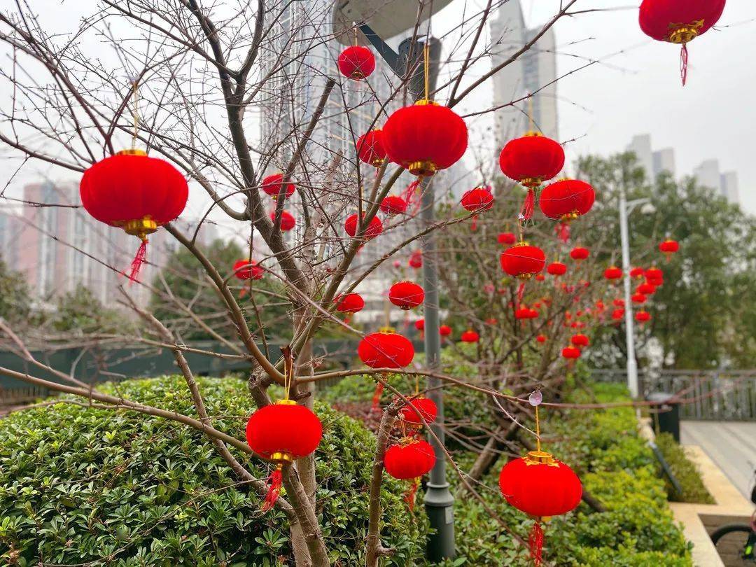 会员华侨城物业丨园区美景张灯结彩迎新春浓浓年味扑面来