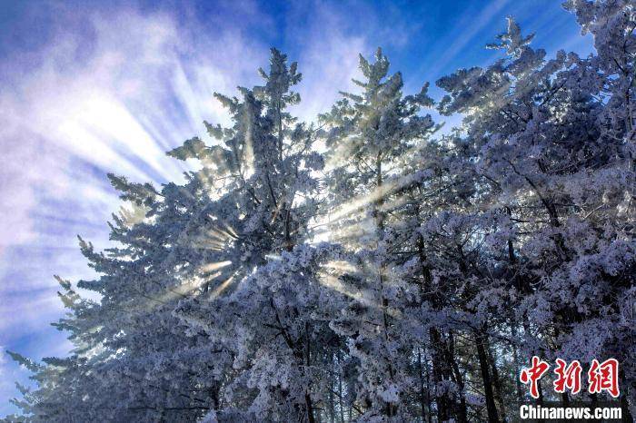 水墨画|2022年首场降雪 来看六盘山下的“水墨画”