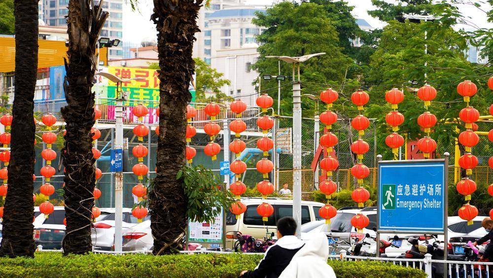 惠州陈江街头年味渐浓_节日_仲恺_树枝