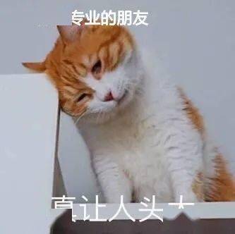 d3909008ffd141cc8609decc24cbe7e1.jpeg