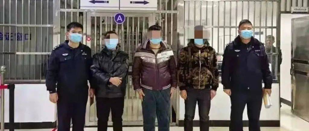 投毒“偷狗”!抓!_嫌疑人_歙县_团伙