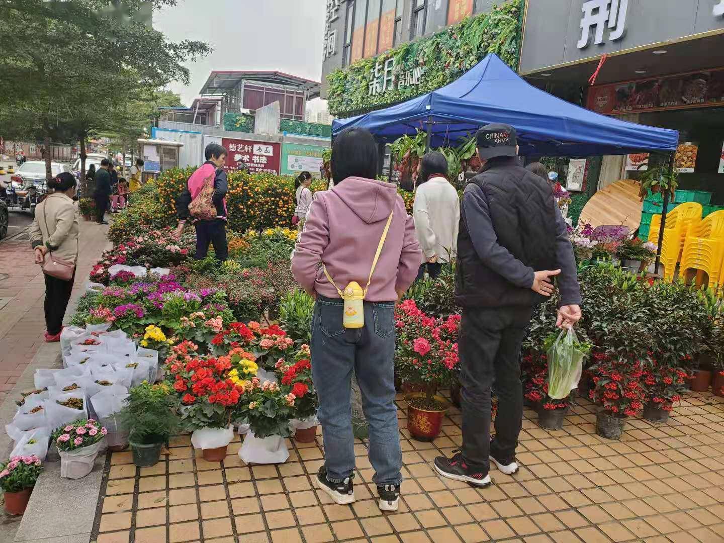 后天正式启动 珠吉今年花市与去年有点不一样 街坊 市民 吉街