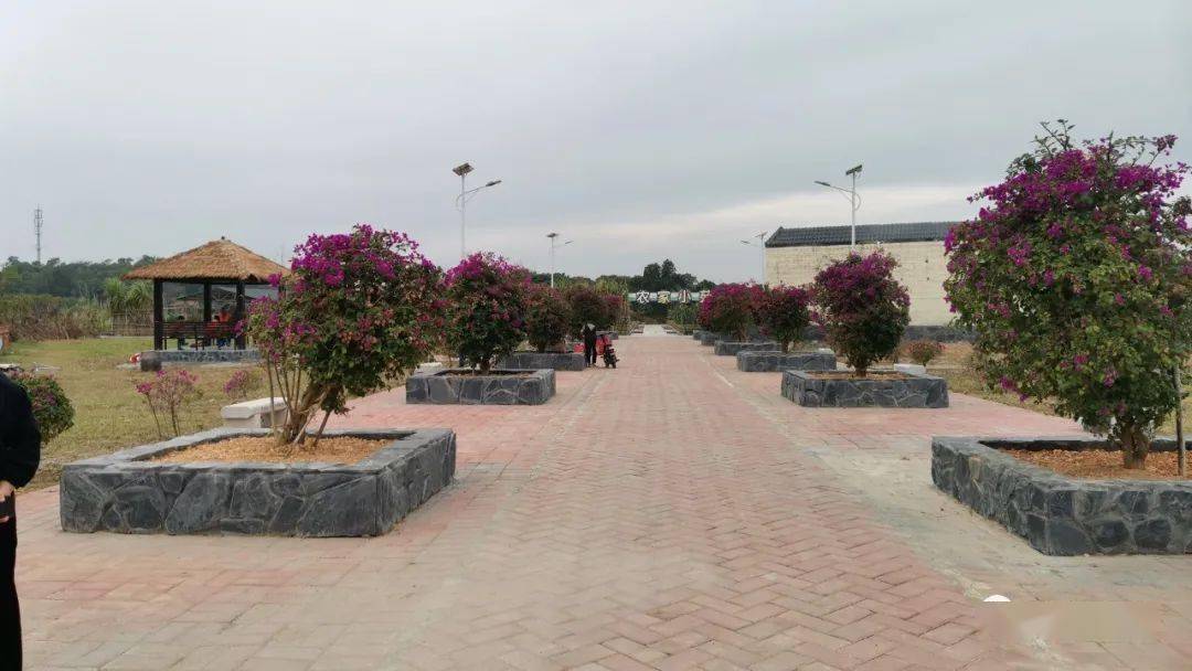 电白区沙琅县域副中心厉害了建成12公里幸福镇村示范带