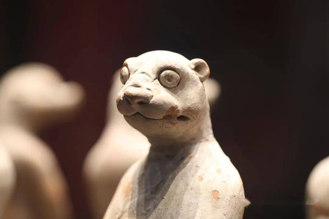 文物之美】虎啸风生|唐彩绘陶十二生肖虎俑_古代_文化_动物