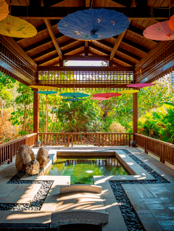 温泉园_旅游_文化