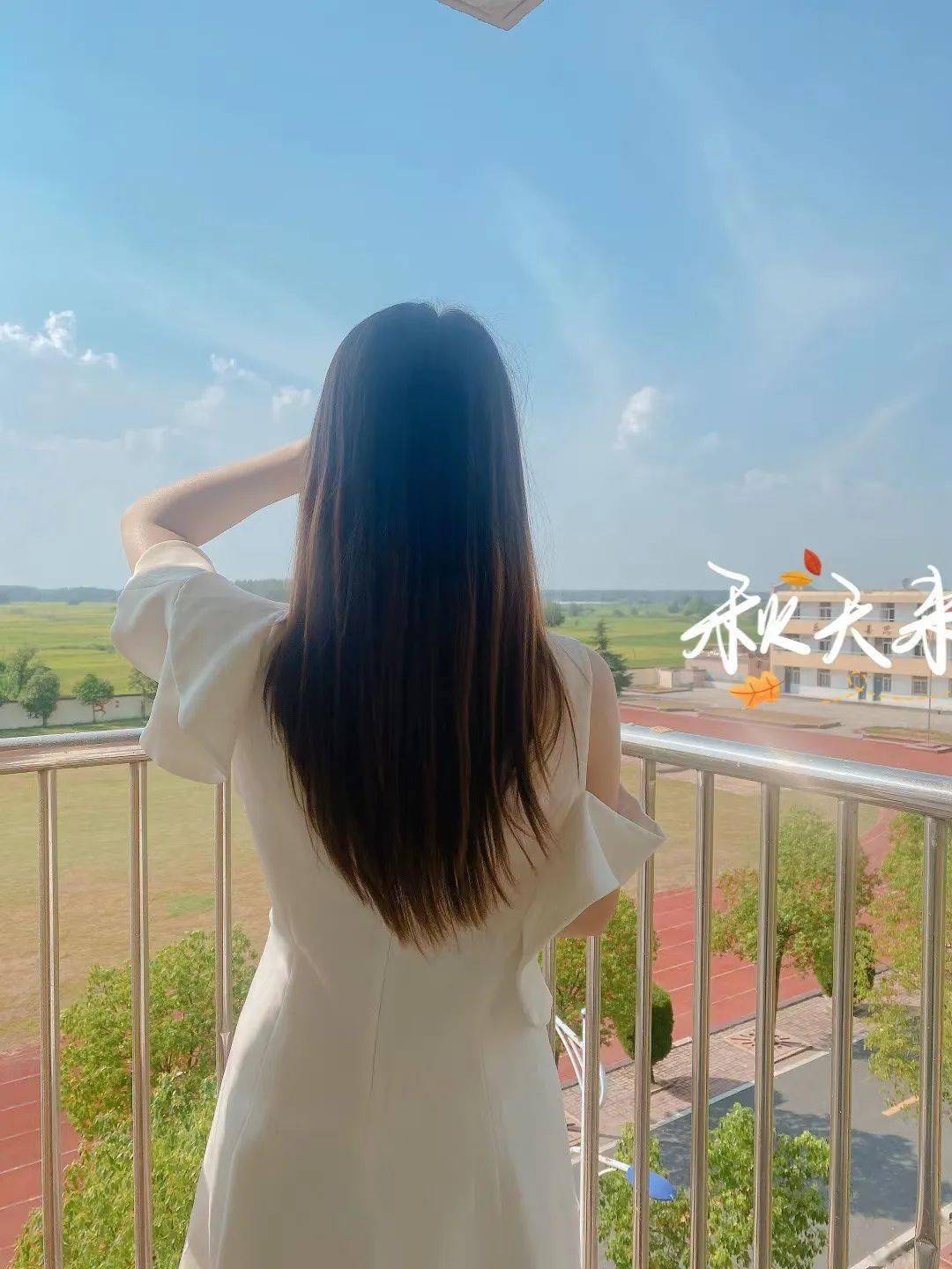 【文王贡人生·微封面】 第2475期:程程_在线_微信_公众