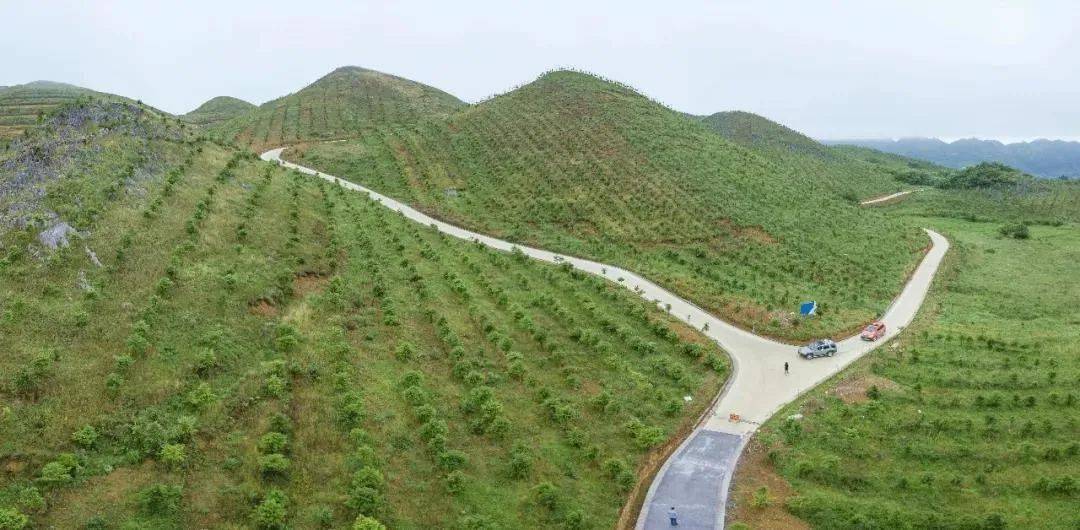 生态文明建设火草坡变形记