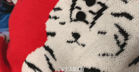 Gucci 看完它们的「虎年限定」，新的一年注定虎虎生风！