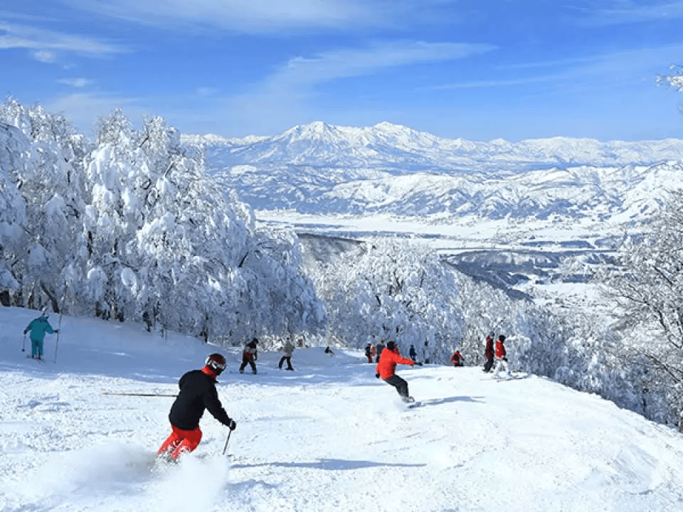 影响|日媒：国际游客仍然不见踪影，日本的滑雪胜地努力活着