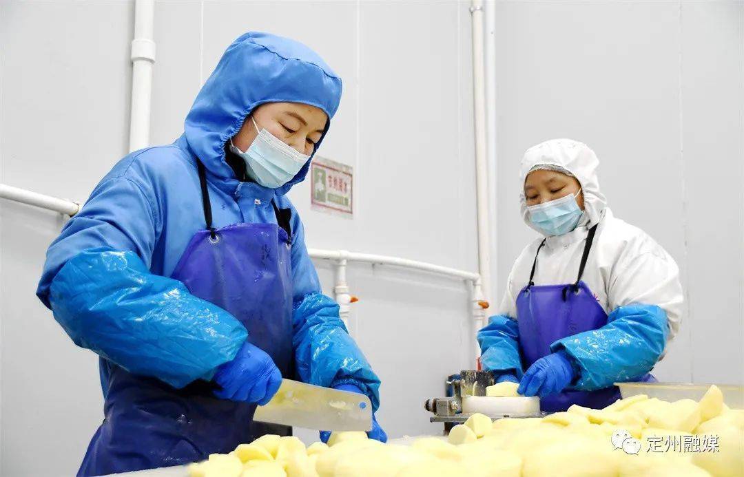 定州这家企业开足马力,确保"菜篮子"充足_生产_该公司_史红卫