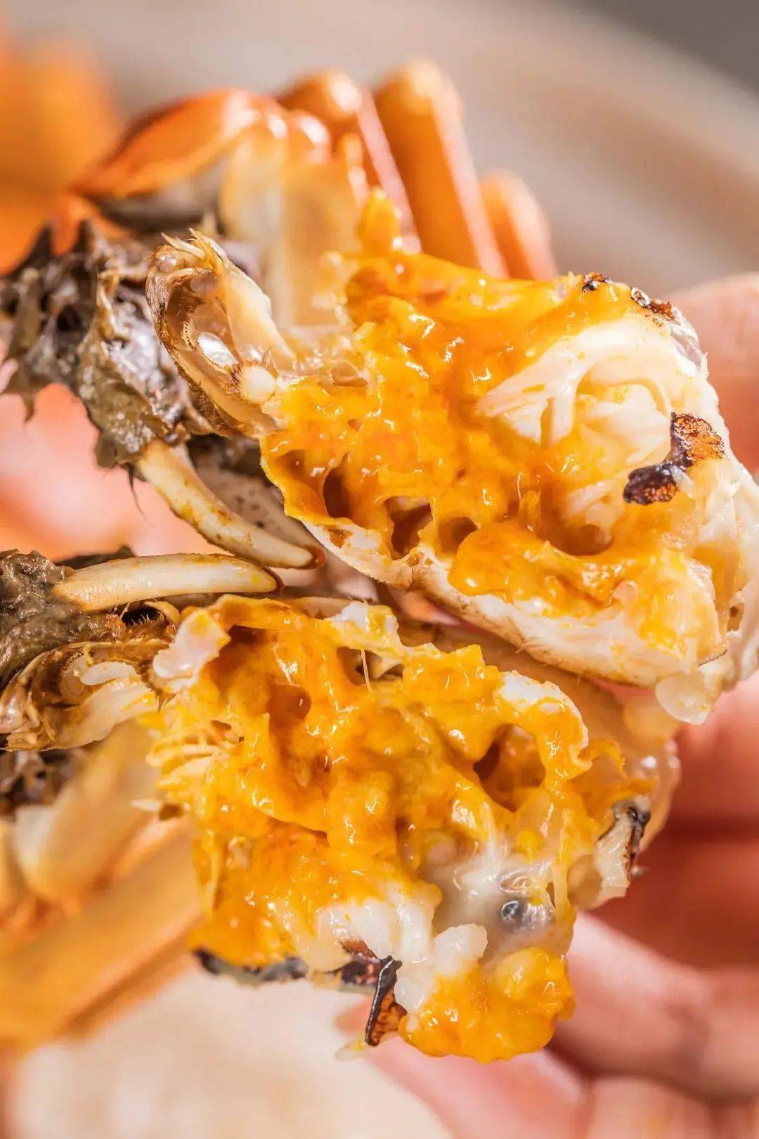 新春不打烊 长沙年夜饭去哪吃 清单附上 徐记 地址 店铺 新春不打烊 长沙年夜饭去哪吃 清单附上 徐记 地址 店铺