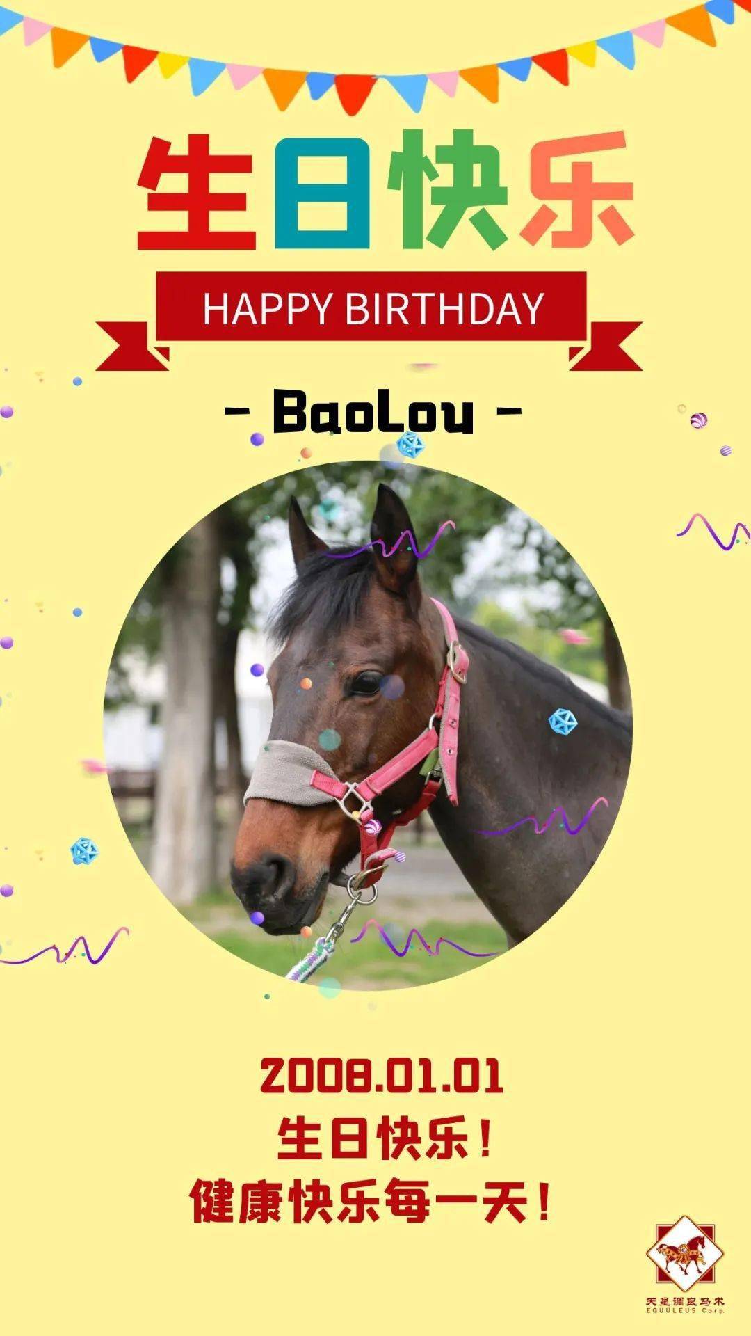 马匹生日会祝1月寿星马儿们生日快乐