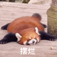 e9f00bd850ab4ef09b158c14d20c3de2.gif