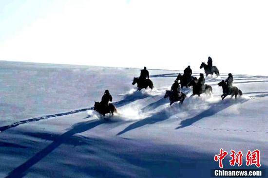 雪地|新疆高原牧民冬季茫茫雪地刁羊