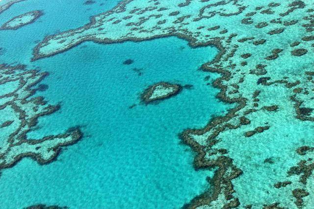 澳大利亚总理承诺追加10亿澳元保护大堡礁