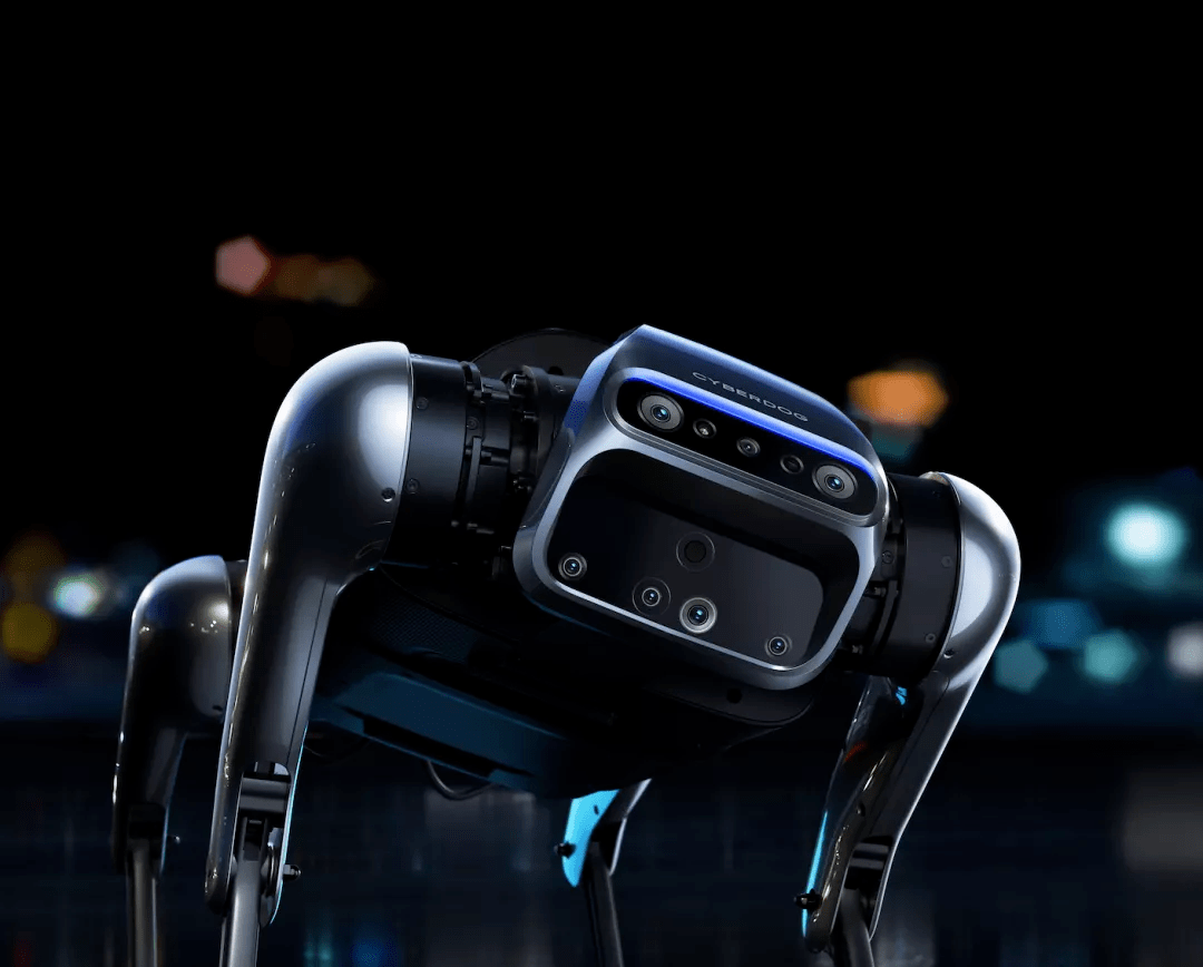 这两位应届生的年终奖，我慕了！