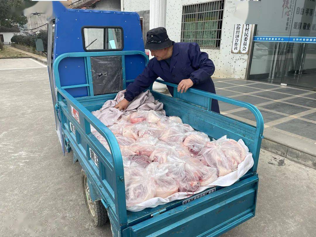 近日一大早,浣东街道太和村村民金黄阳用三轮车运送了200斤猪肉到村部