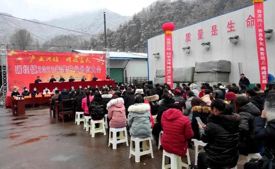 碾坝镇:产业发展结硕果,分红到户笑开颜_康县_群众_大会