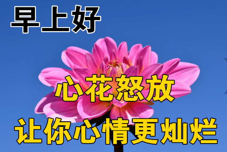 1月28日早上好動態表情圖片大全早晨好動圖美圖大全