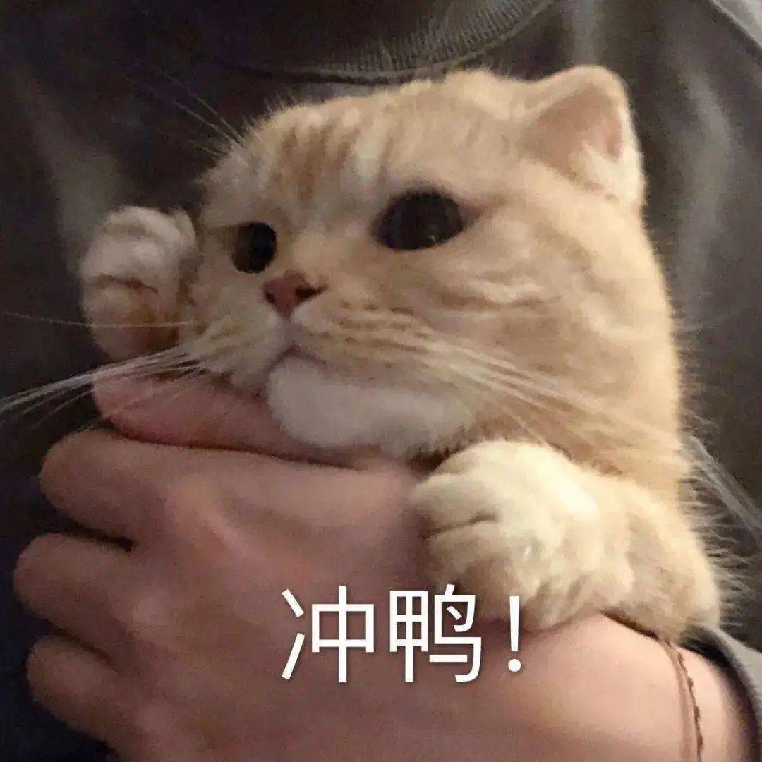 发型离过年只有3天，还不来看这篇烫头攻略？！