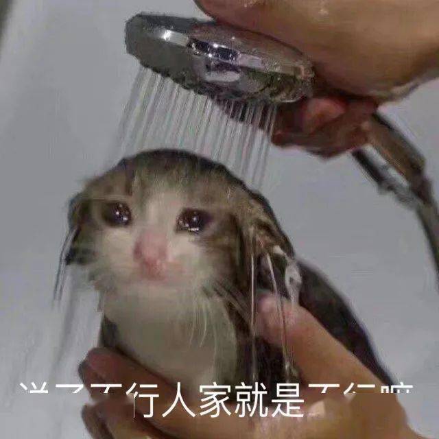 头发黑芝麻丸，还要骗我们多久？