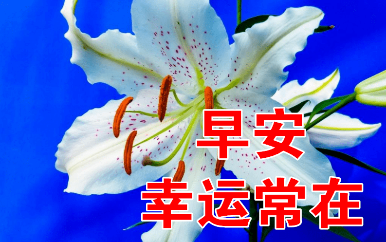 1月28日早上好动态表情图片大全早晨好动图美图大全