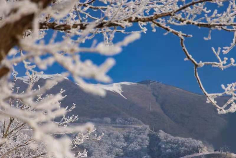 冰状雪|静待各国健儿显身手！国家高山滑雪中心高山场地交付竞赛团队