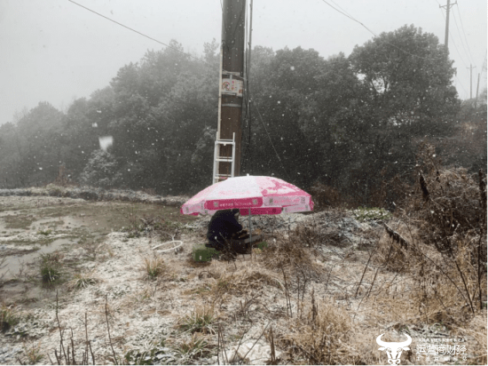 湖北移動全力迎戰暴雪保通訊暢通 科技 第1張