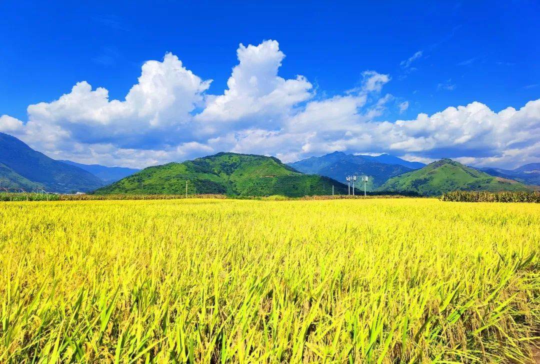 美美美一大波乡村高清美图视频来袭流量不够的慎点