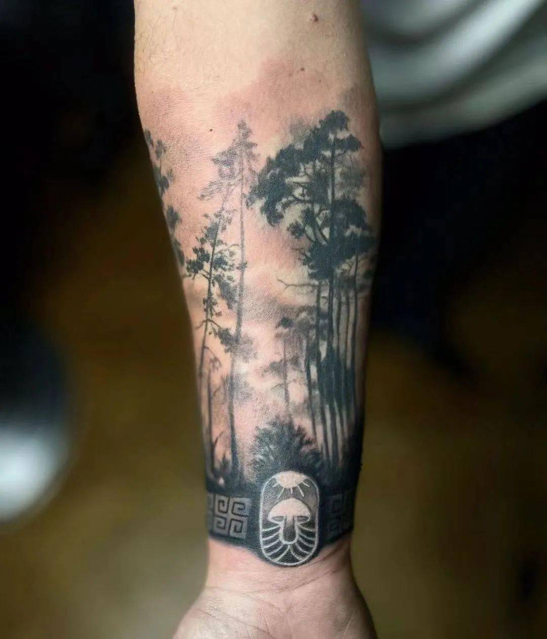 广袤的原始森林纹身_草本植物_阶段_苏铁