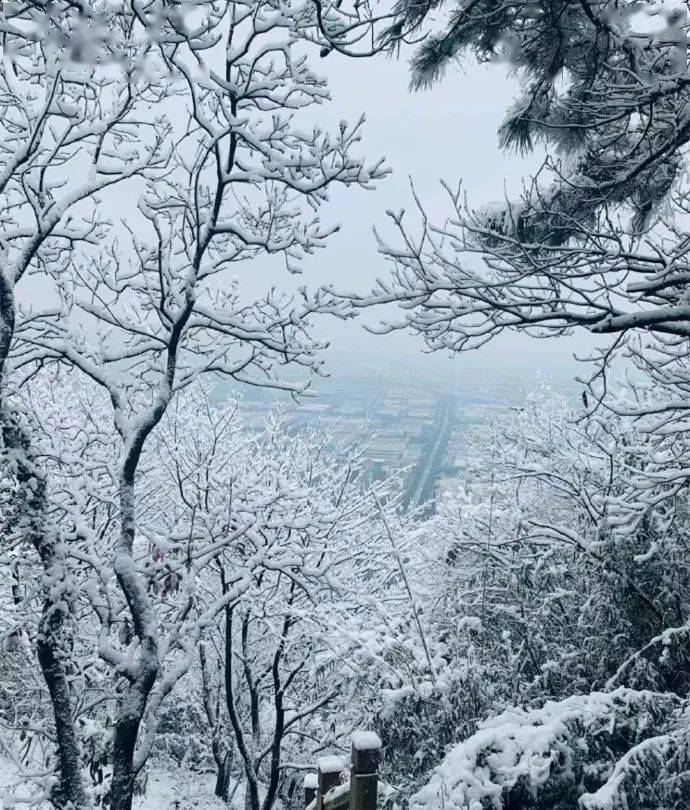 苏州大阳山雪景图片