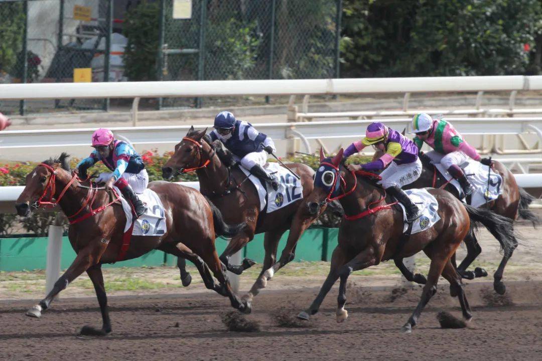 沙田赛事|新骑师嘉里一出即胜_直路_头马_竞骏