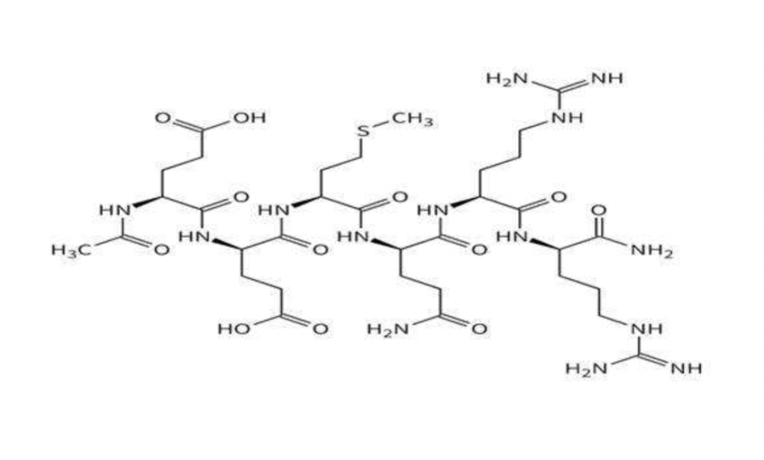 分子关于胶原蛋白的那些秘密