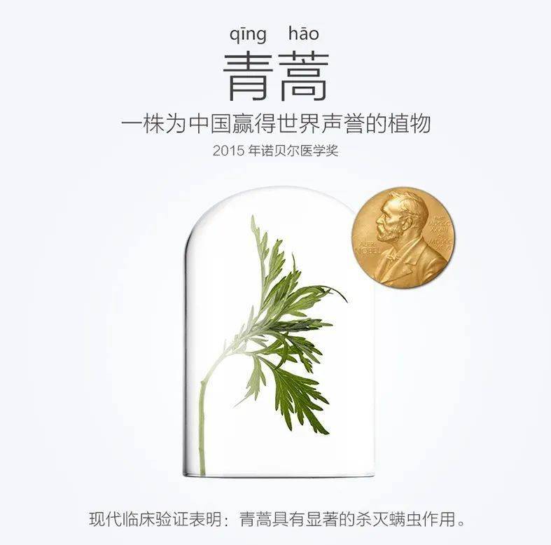 尸体头上抠下来的白泥竟是螨虫尸体！头痒头屑出油多，用它就对了