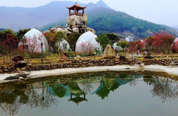2022德化桃仙溪景区桃花花海文化旅游节2月5盛大开园啦福利送不停