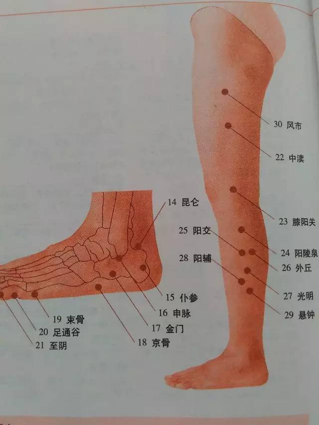 全身穴位图解