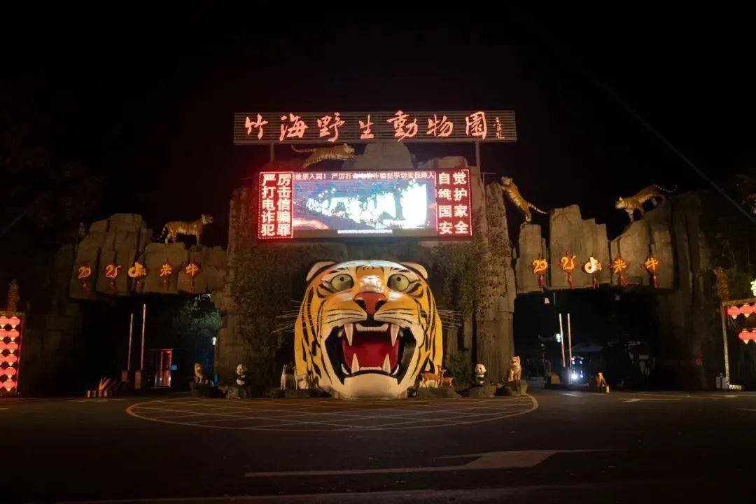 【竹海野生動物園】開園公告!虎年看老虎,全家有百福!大年初一開放!