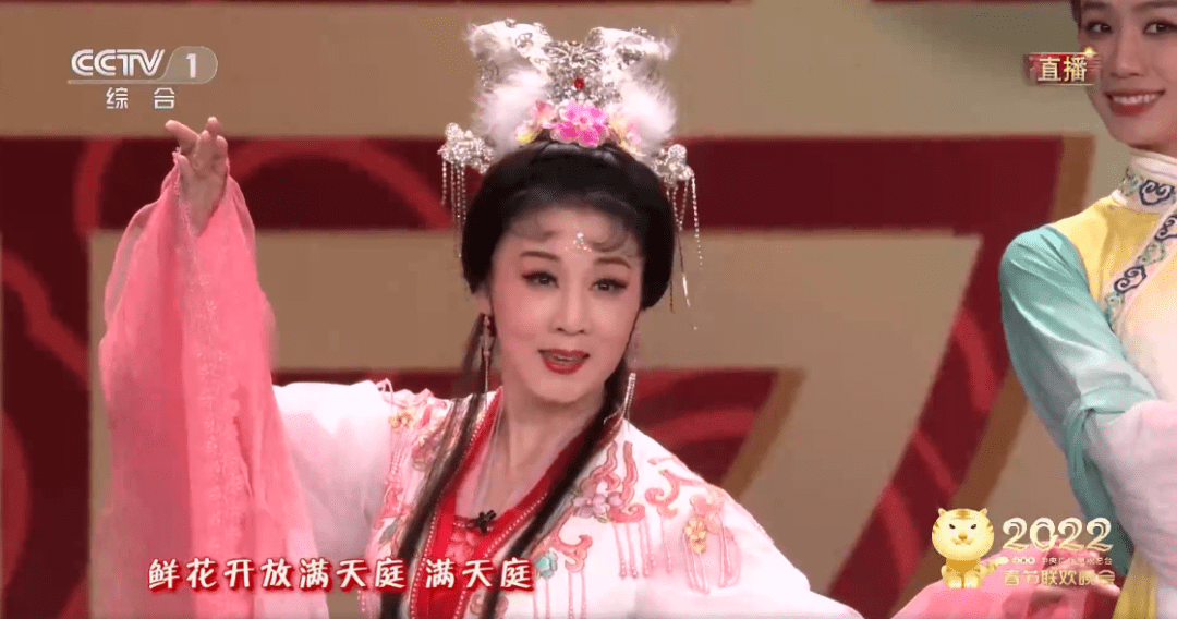 "为友谊干杯"女主上春晚_韩再芬_表演_黄梅戏