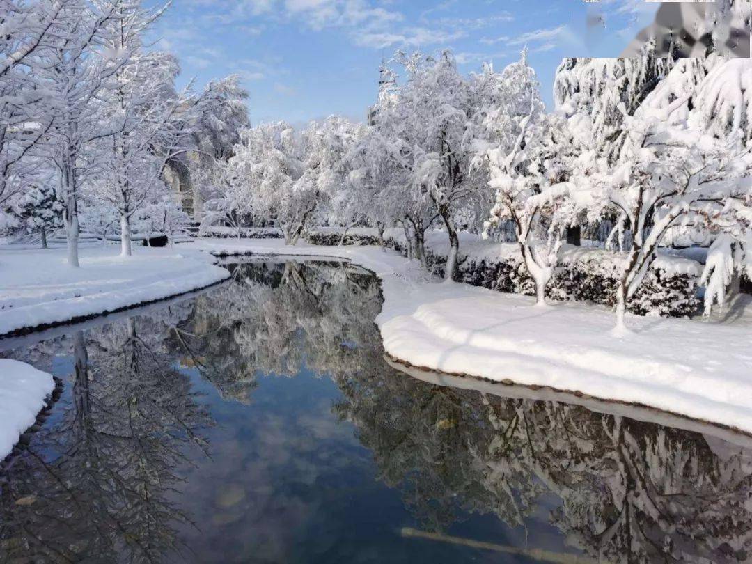 会泽公园雪景图片