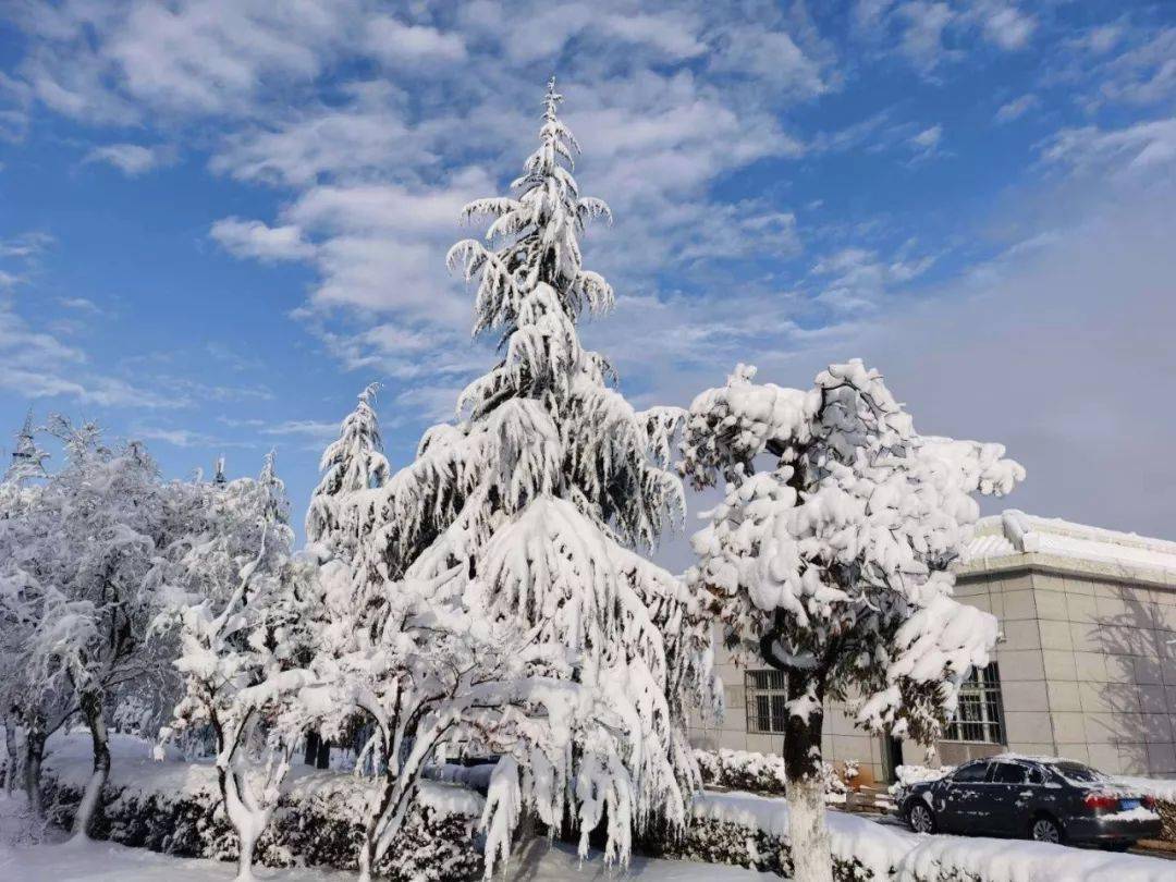 会泽春节雪景刷爆朋友圈了