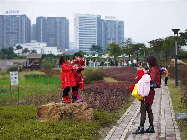 非法|广西：那考河湿地公园生机盎然 引无数游人拍照留念