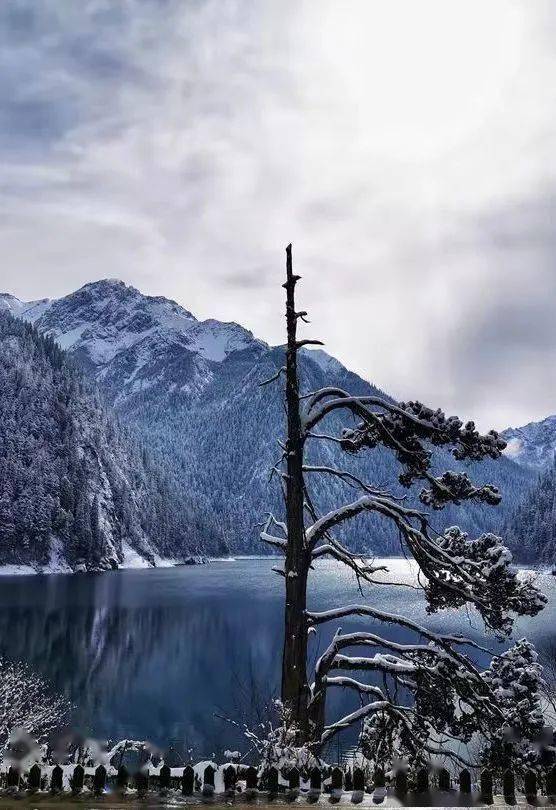 九寨沟|春节游九寨 开启虎年新旅程