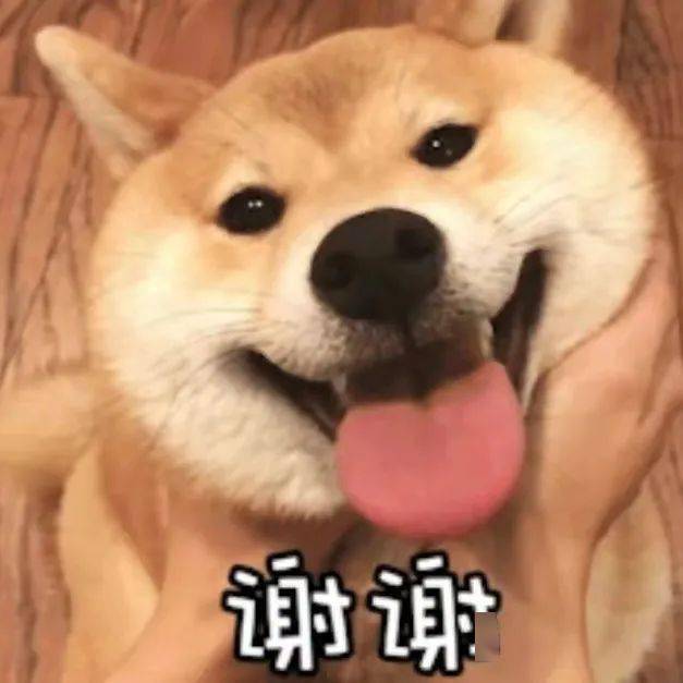 怎么搜微信表情包 8be8f6f444e74bbbb07c88d8c998866e.jpeg