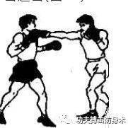 拳击还击方法:左手屈肘阻挡和向后移步还击_左直_头部_上体