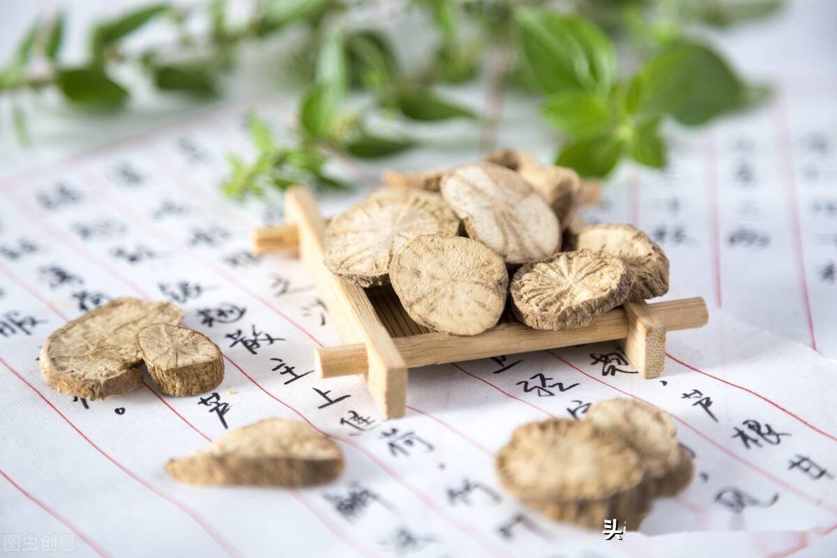 痛风讲九味药材清热利湿通络止痛送给关节红肿热痛的你